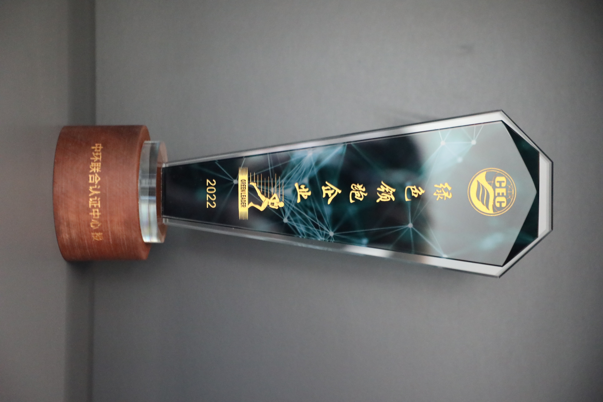 美巢深耕家裝環保輔料賽道，榮獲“綠色領跑企業”稱號