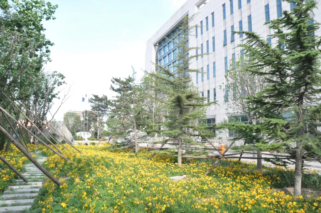 美巢先后獲“綠色信用五星級企業”“無廢之星”榮譽稱號